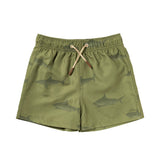 Sharks Swim Shorts - Iguana