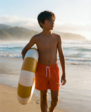 Juicebox Jam Swim Shorts