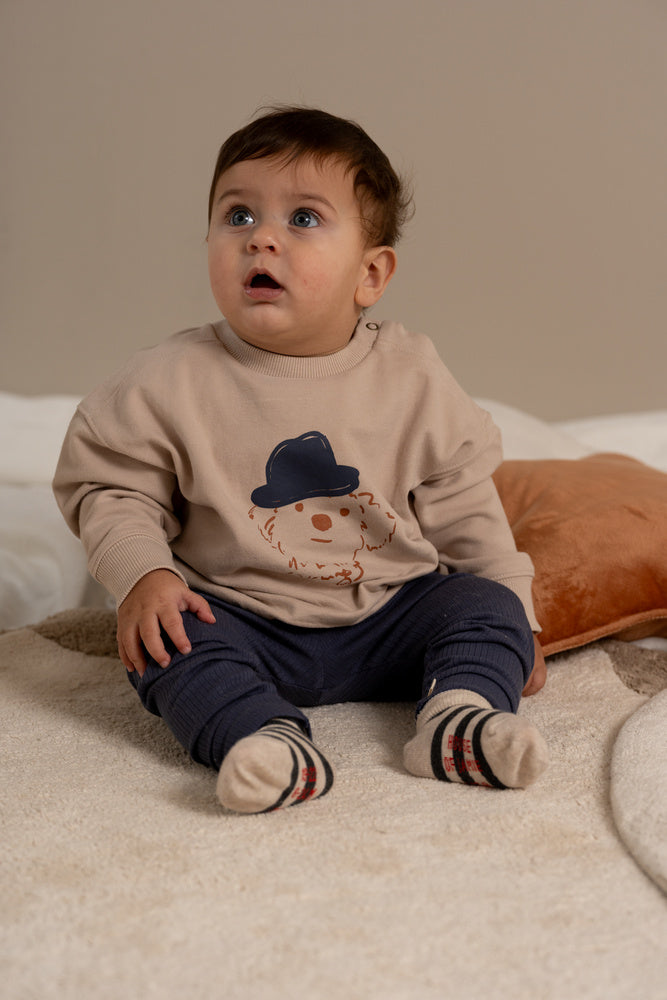Baby Boy Sweater in French Grey