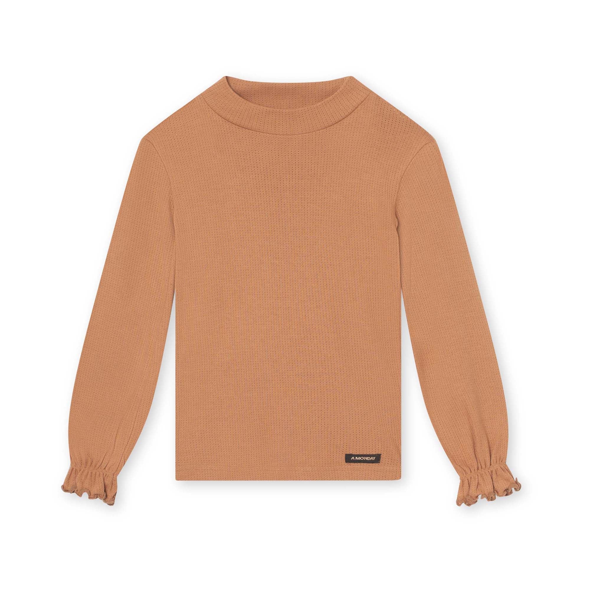 AMELIA_T-SHIRT_PECAN_BROWN_2048x_5d8ce391-ec7f-4e64-98d4-fe8f3cf093b7.jpg