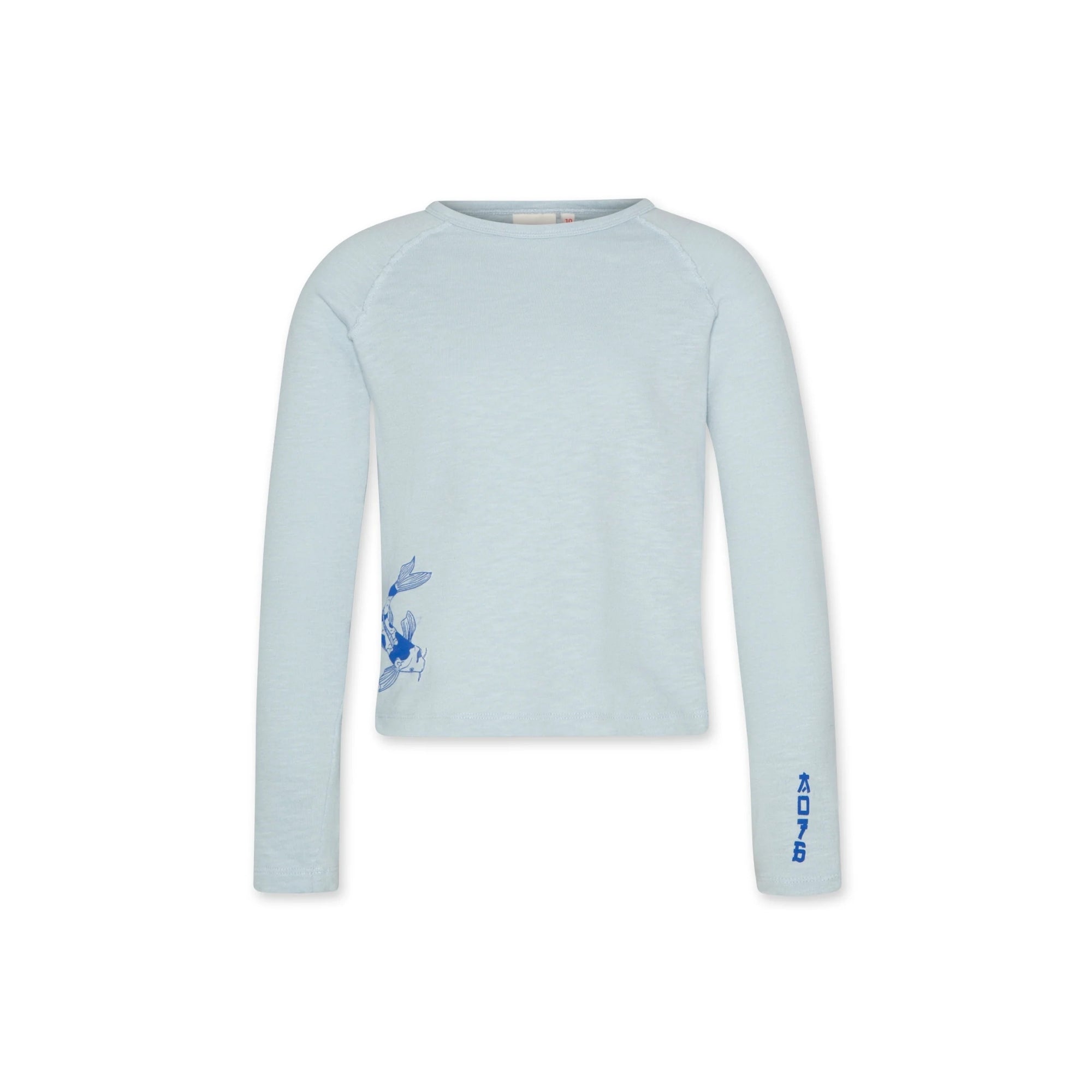 AMVIT-ShirtFish.jpg