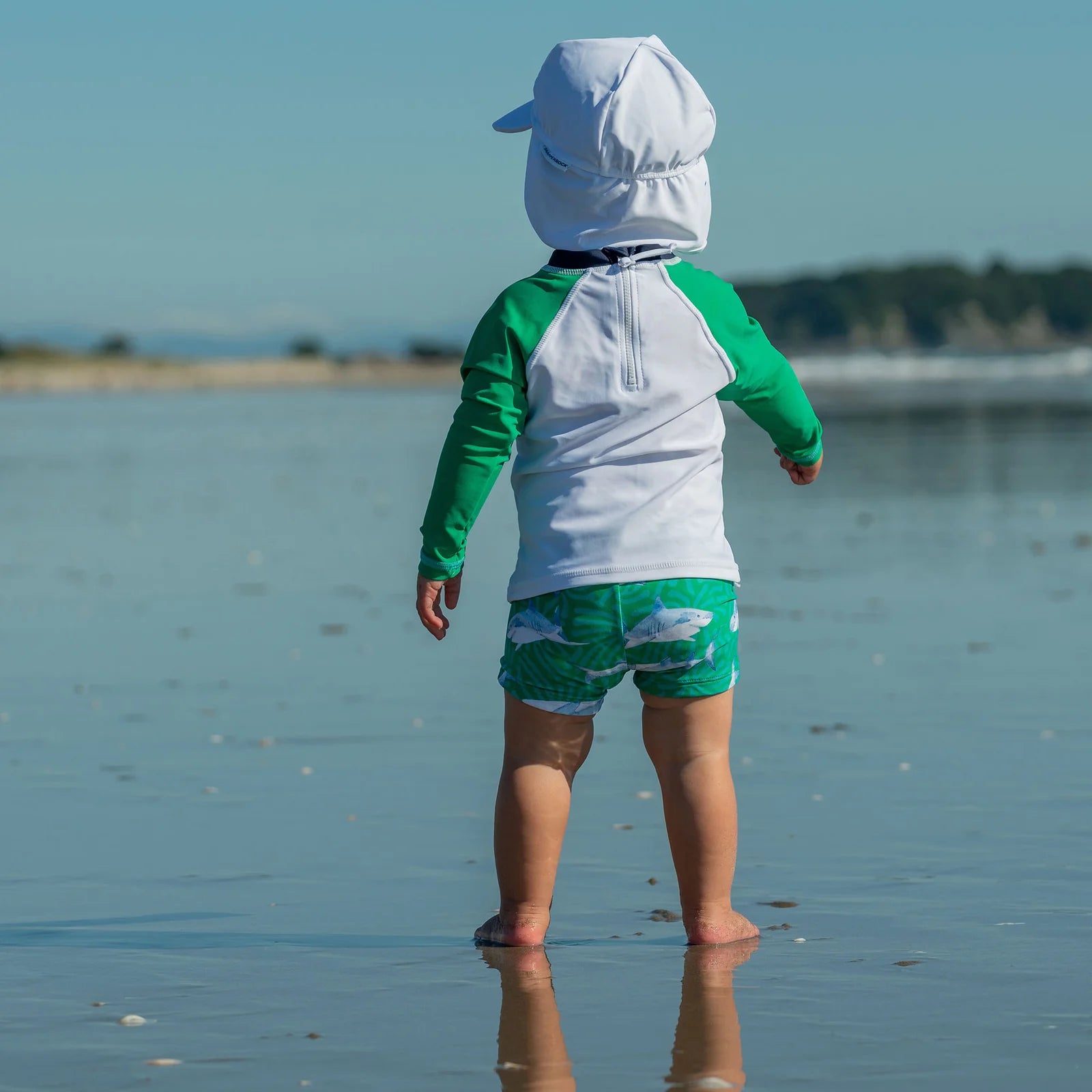 Reef Shark Baby Set