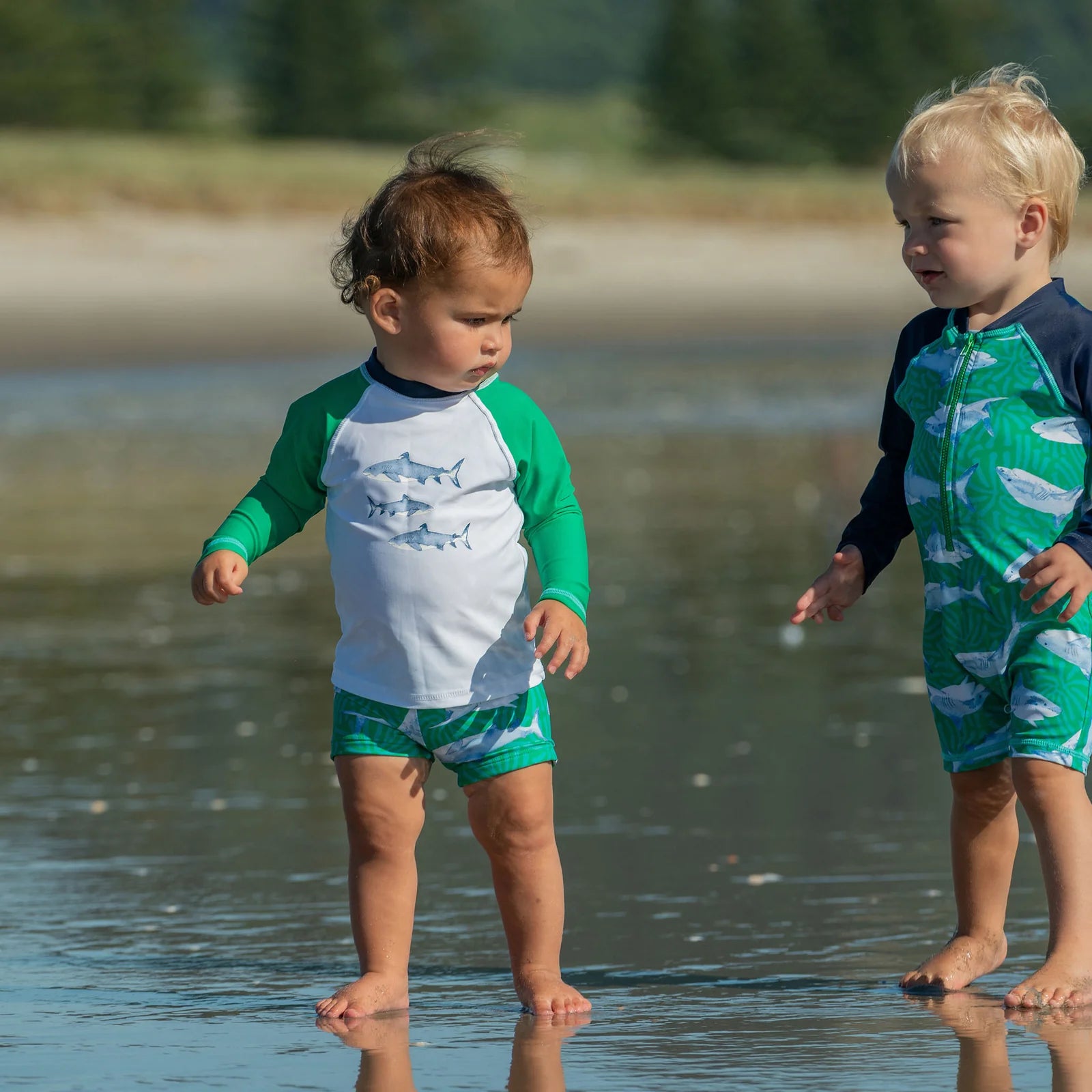 Reef Shark Baby Set