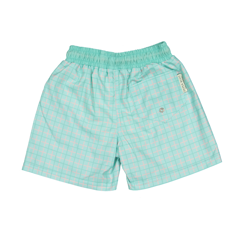 BAG-B-V1-Gingham_splash_classic_swim_shorts-b_png.webp