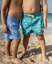 Amalfi Ride Swim Shorts