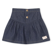 Denim Celine Skirt