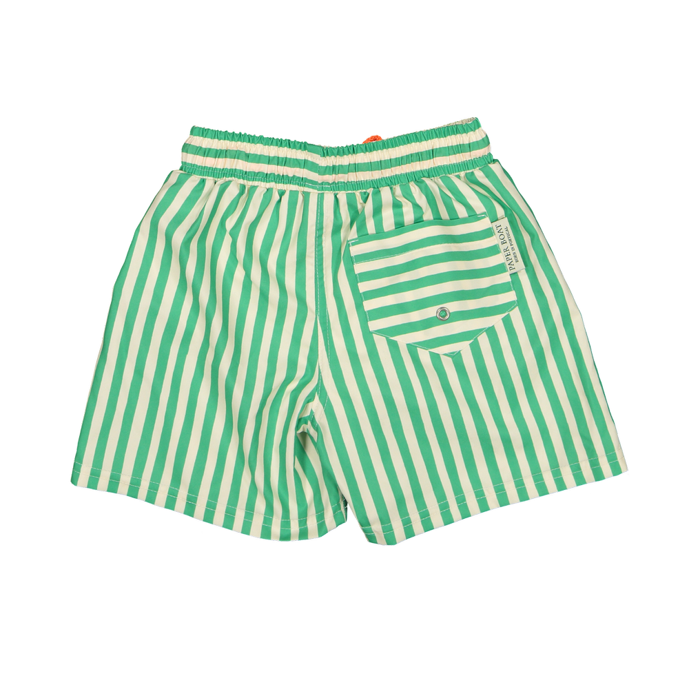CST-B-V1-Pop_stripes_classic_swim_shorts-b_png.webp