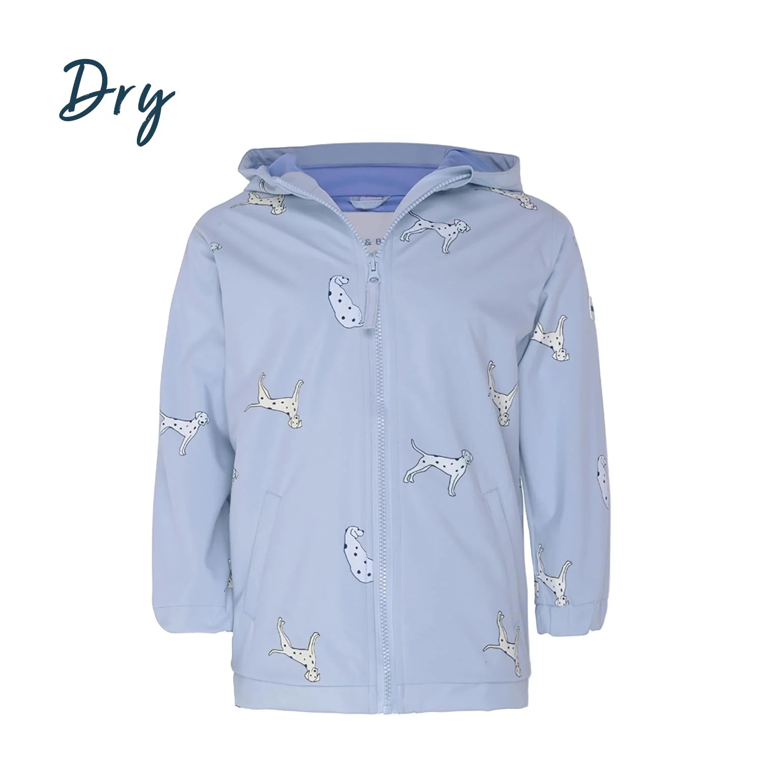 Dalmatian Dog Color Changing Raincoat