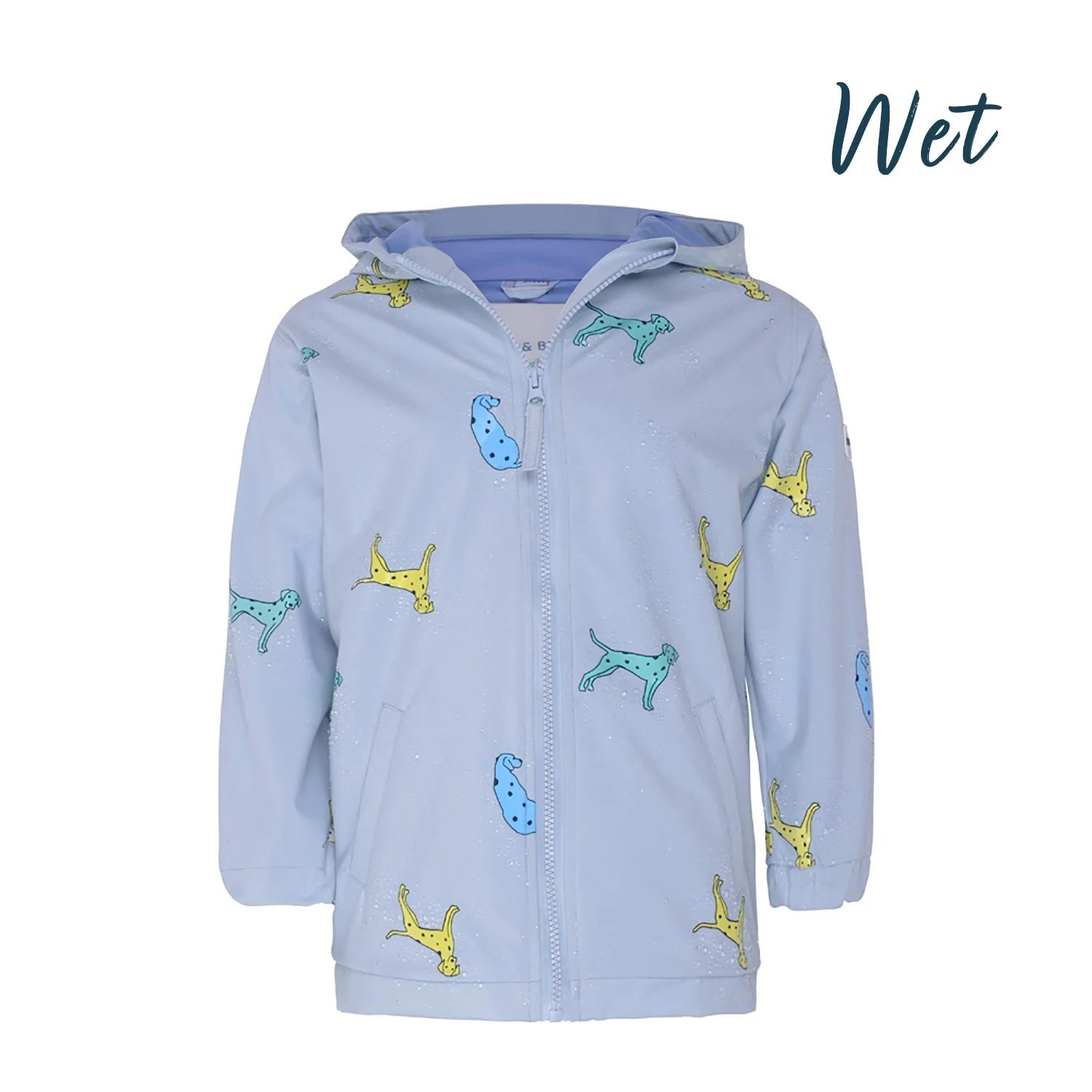 Dalmatian Dog Color Changing Raincoat