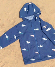 Dinosaur Color Changing Raincoat