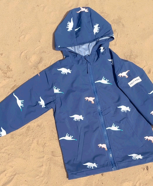 Dinosaur Color Changing Raincoat