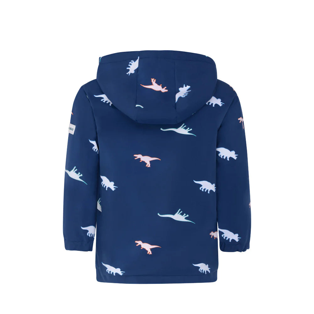 Dinosaur Color Changing Raincoat