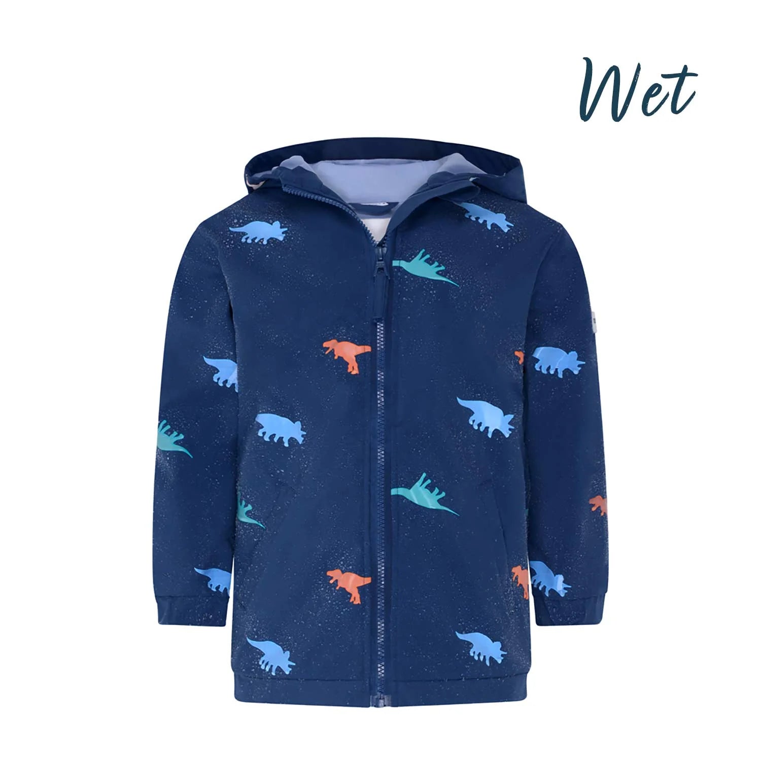 Dinosaur Color Changing Raincoat