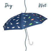 Dinosaur Color Changing Umbrella