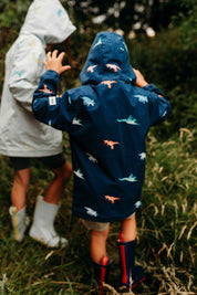 Dinosaur Color Changing Raincoat