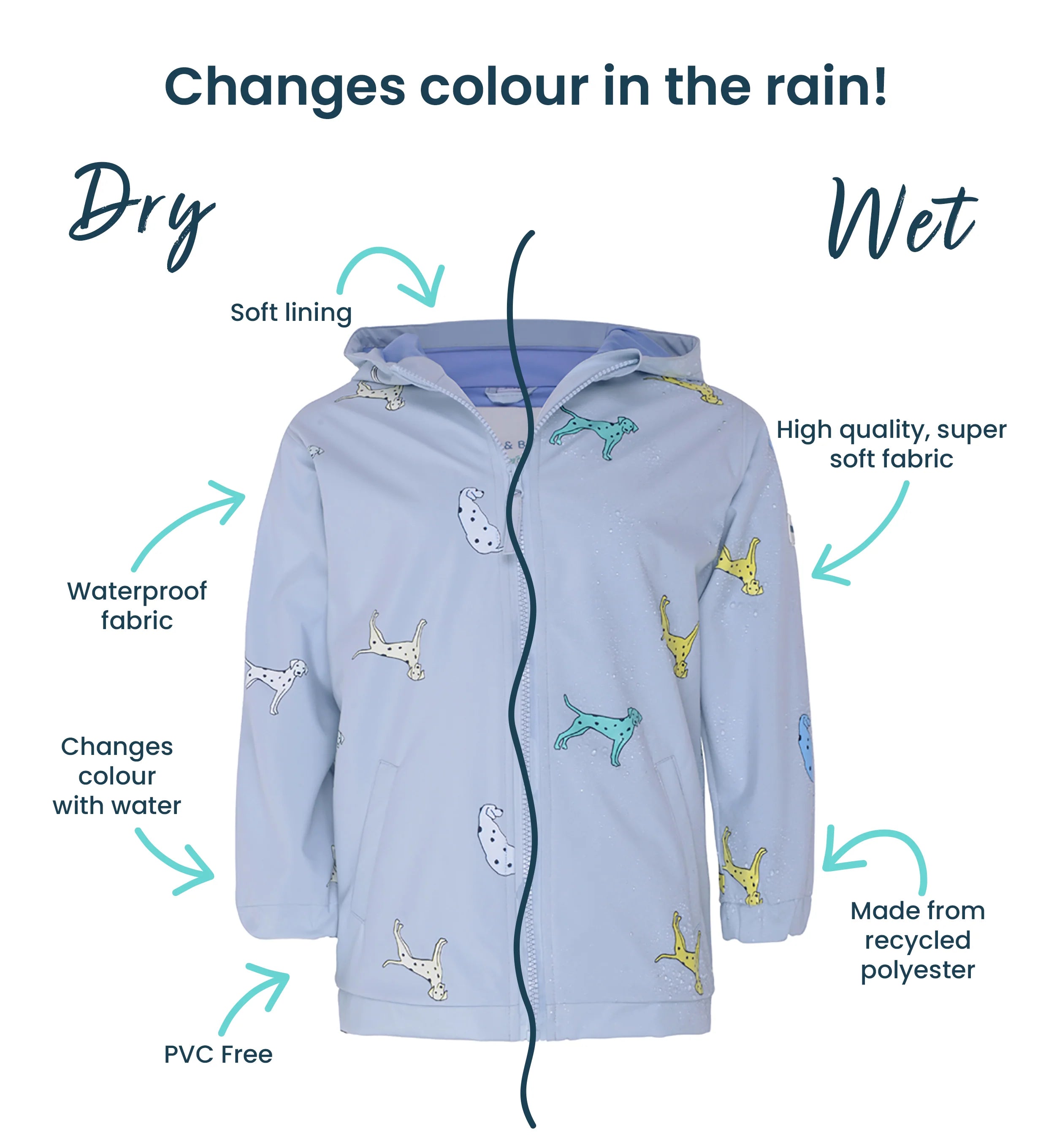 Dalmatian Dog Color Changing Raincoat