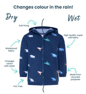 Dinosaur Color Changing Raincoat