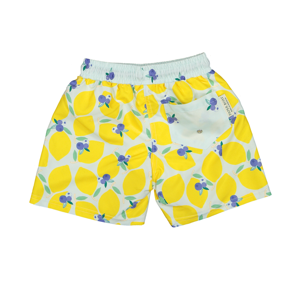 LBR-B-V1-Lemonberry_classic_swim_shorts-b_png.webp