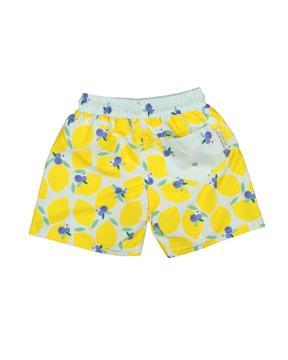 Lemonberry Classic Swim Shorts