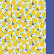 Lemonberry Swimsuit