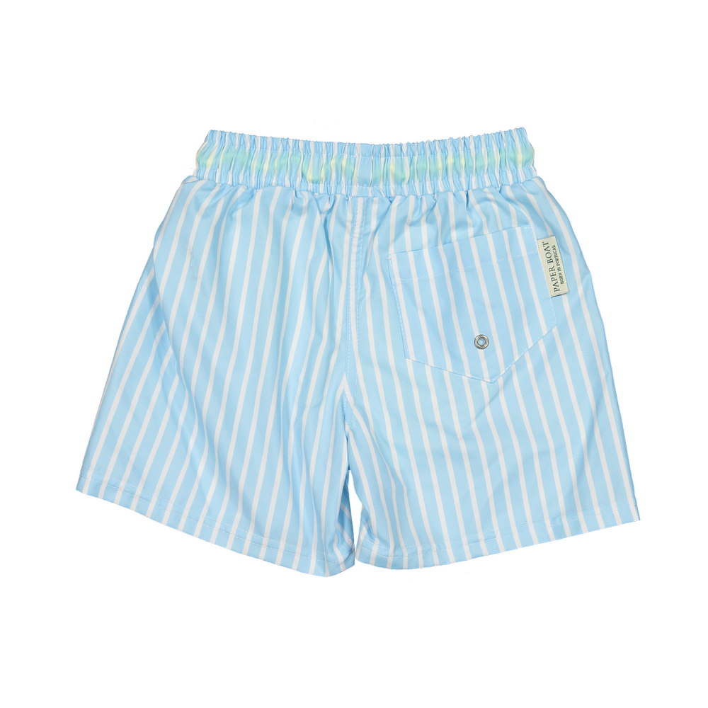 PSB-B-V1-Sunny_blue_classic_swim_shorts-b_png.webp