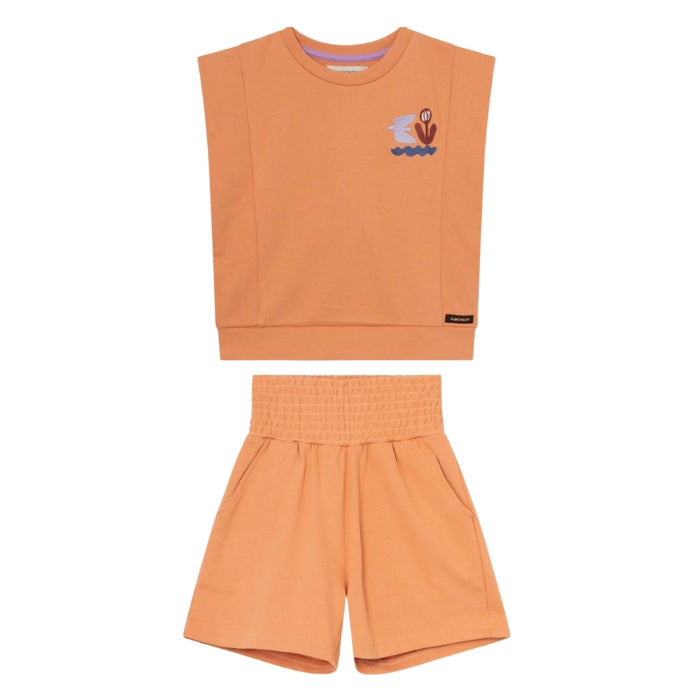 PeachSet.jpg