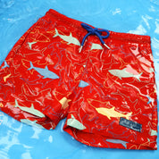 Sharks Color Changing Swim Shorts