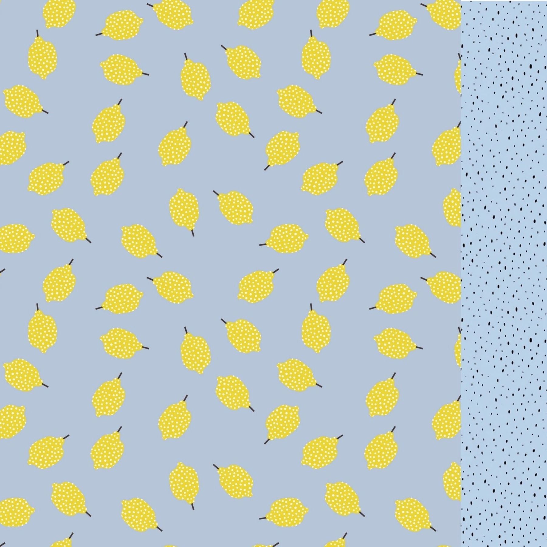 Swim Trunks – Lemon & Black Drops