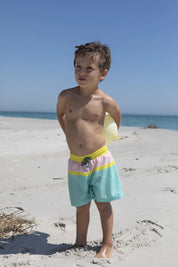 Candy Classic Swim Shorts