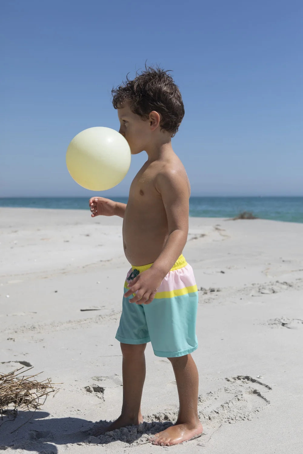Candy Classic Swim Shorts