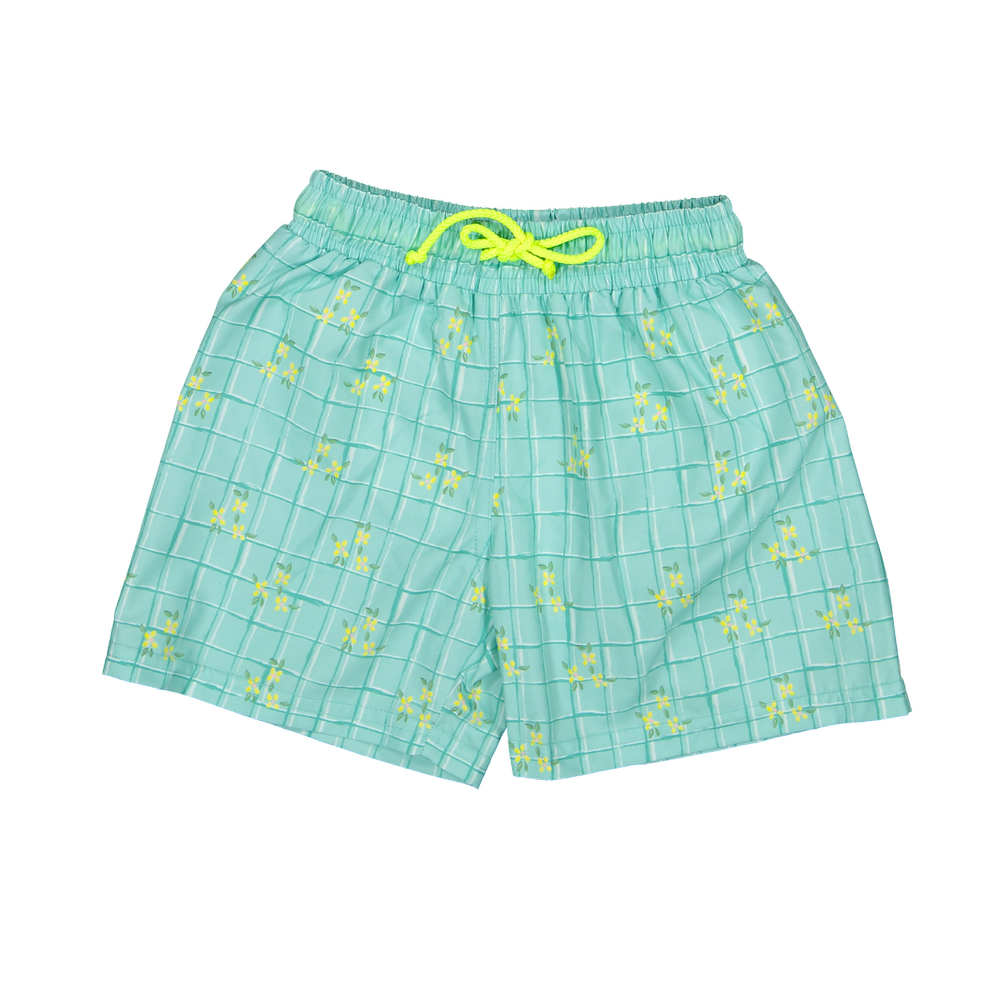 WGR-B-V1-Water_garden_classic_swim_shorts-a_png.webp