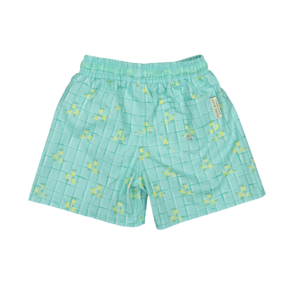 WGR-B-V1-Water_garden_classic_swim_shorts-b_png.webp
