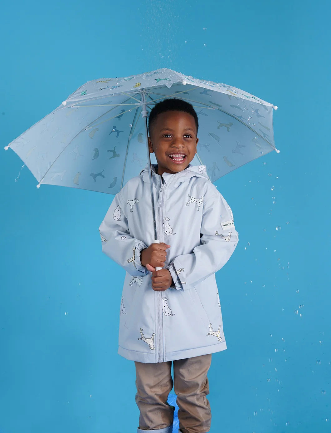 Dalmatian Dog Color Changing Raincoat